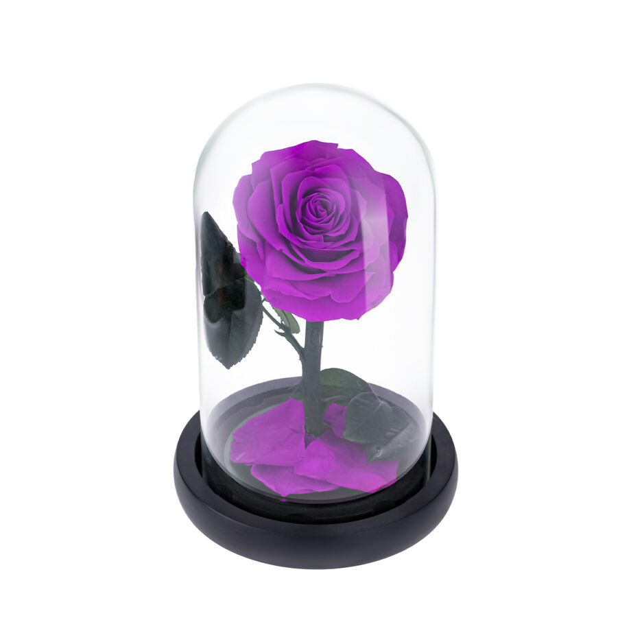 Medium purple everlasting natural roses